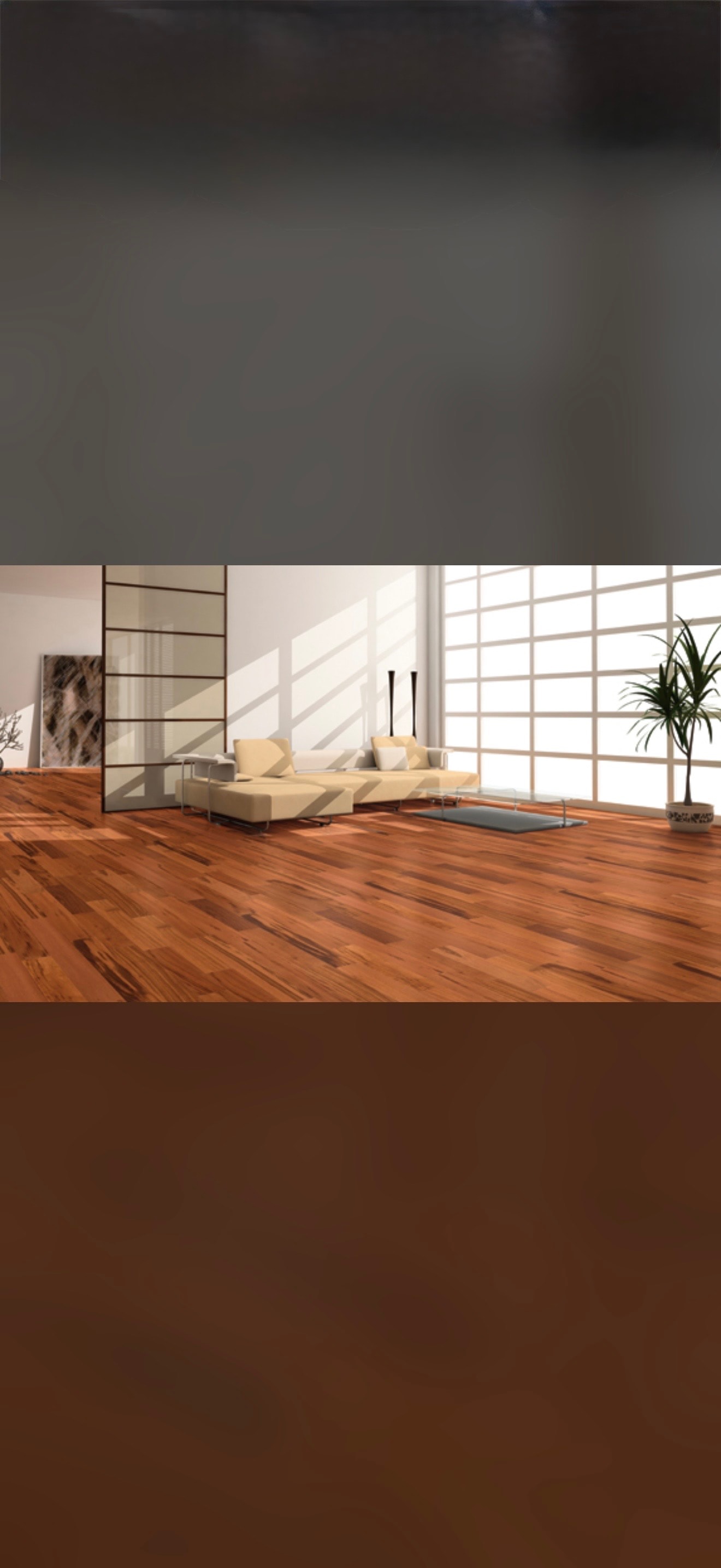 Modern minimalist living room with hardwood floors